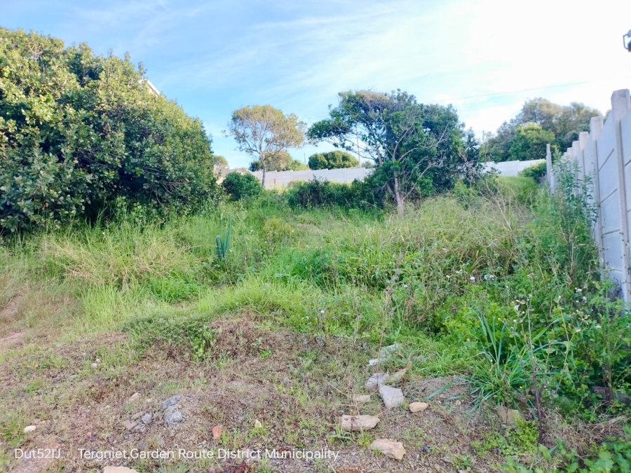 0 Bedroom Property for Sale in Tergniet Western Cape